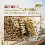 350 тонн продовольственной пшеницы экспортировано в Казахстан