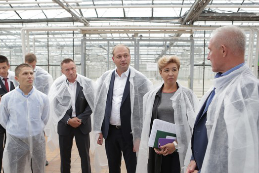 На крупнейшем овощеводческом предприятии Ульяновской области продолжается модернизация