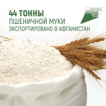 Из Ульяновской области в ходе реализации национального проекта «Международная кооперация и экспорт» отгружено 44 тонны пшеничной муки в Исламскую Республику Афганистан.