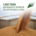 1900 тонн фуражного ячменя экспортировано в Иран