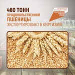 480 тонн продовольственной пшеницы экспортировано в Киргизию
