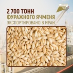2700 тонн фуражного ячменя экспортировано в Иран