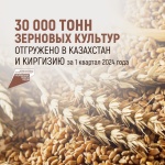 30 000 тонн зерновых культур отгружено в Казахстан и Киргизию за 1 квартал 2024 года
