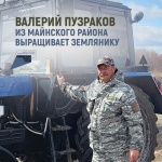Валерий Пузраков из Майнского района выращивает землянику