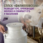 Кооператив «Филипповский» разводит КРС, производит молоко и собирает его у населения