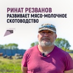 Ринат Резванов развивает мясо-молочное скотоводство