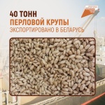 40 тонн перловой крупы экспортировано в Беларусь