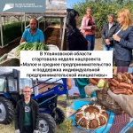В Ульяновской области пройдёт неделя национального проекта «Малое и среднее предпринимательство и поддержка индивидуальной предпринимательской инициативы»
