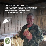 Шамиль Великов из Карсунского района успешно развивает свое птицеводческое хозяйство