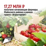 7,27 млн рублей получили начинающие фермеры Майнского района в рамках гранта "Агростартап"