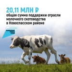 20,11 млн рублей - общая сумма поддержки молочного скотоводства в Новоспасском районе