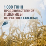 1000 тонн продовольственной пшеницы отгружено в Казахстан