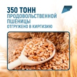 Очередная партия зерна отправилась из Ульяновской в Республику Киргизия 